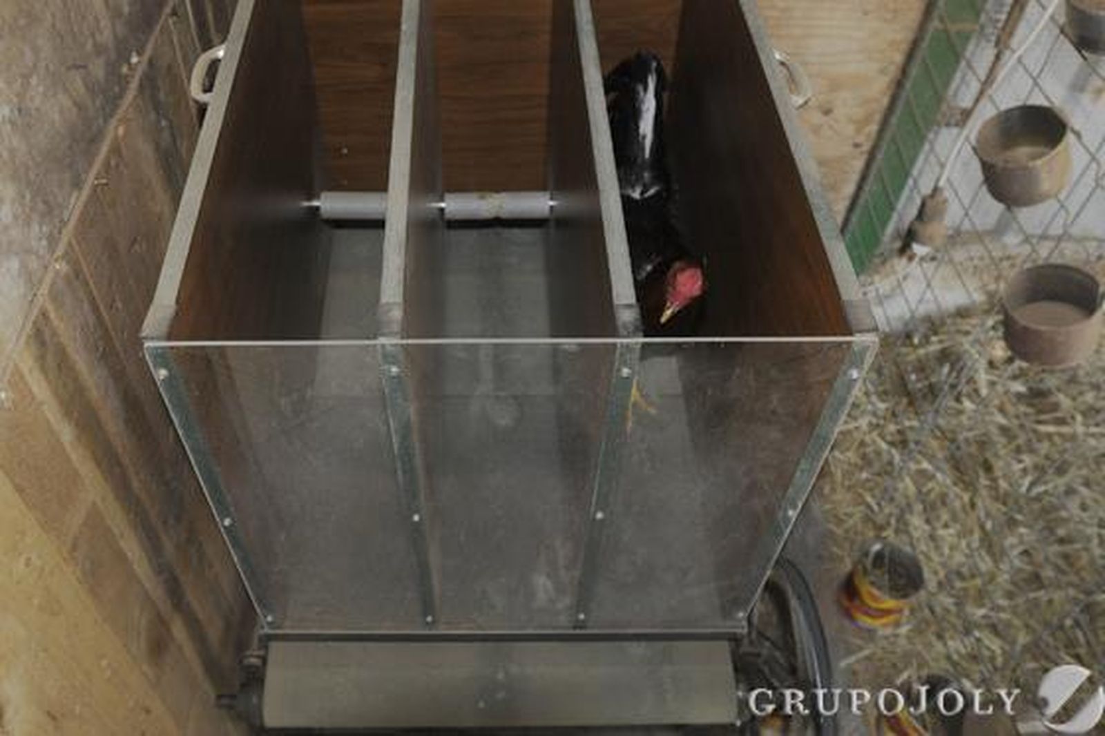 La "máquina de pasear", en la que los gallos realizan parte de su entrenamiento  Foto: Borja Benjumeda