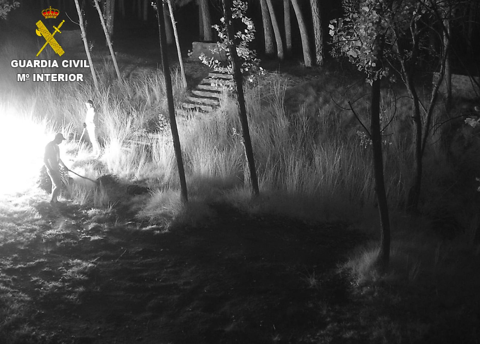 Imagen difundida por la Guardia Civil.