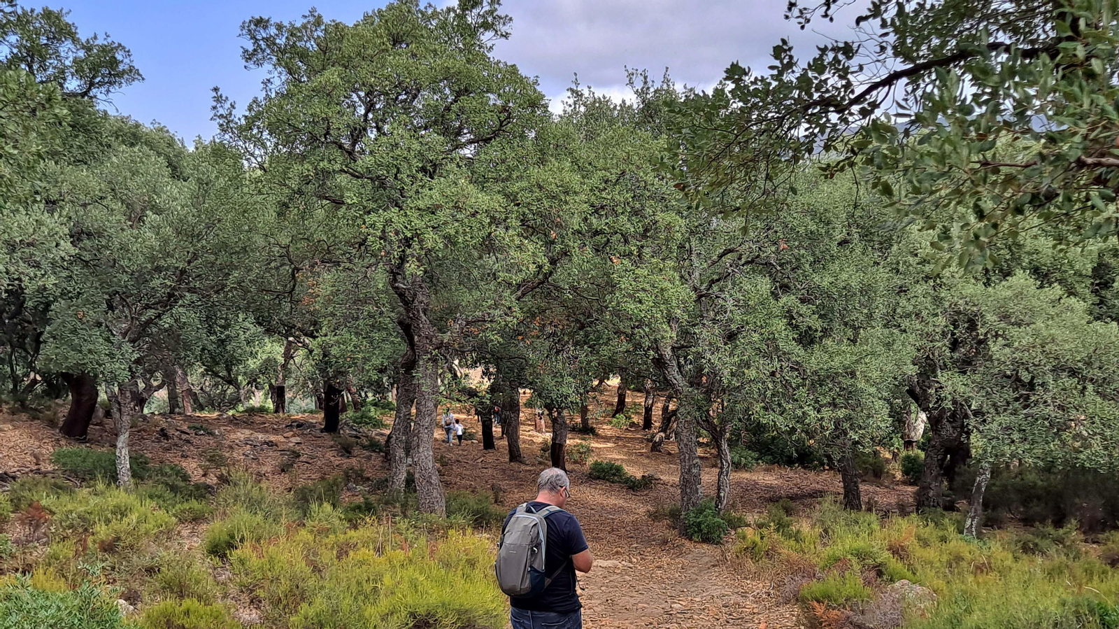 Fotos del sendero de la garganta del Rayo en Tarifa