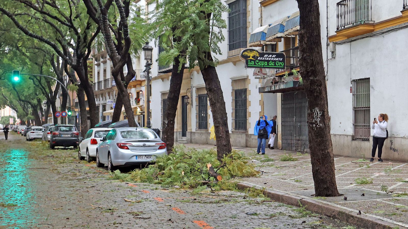 Imágenes del paso de la borrasca Kristin por el centro de Jerez