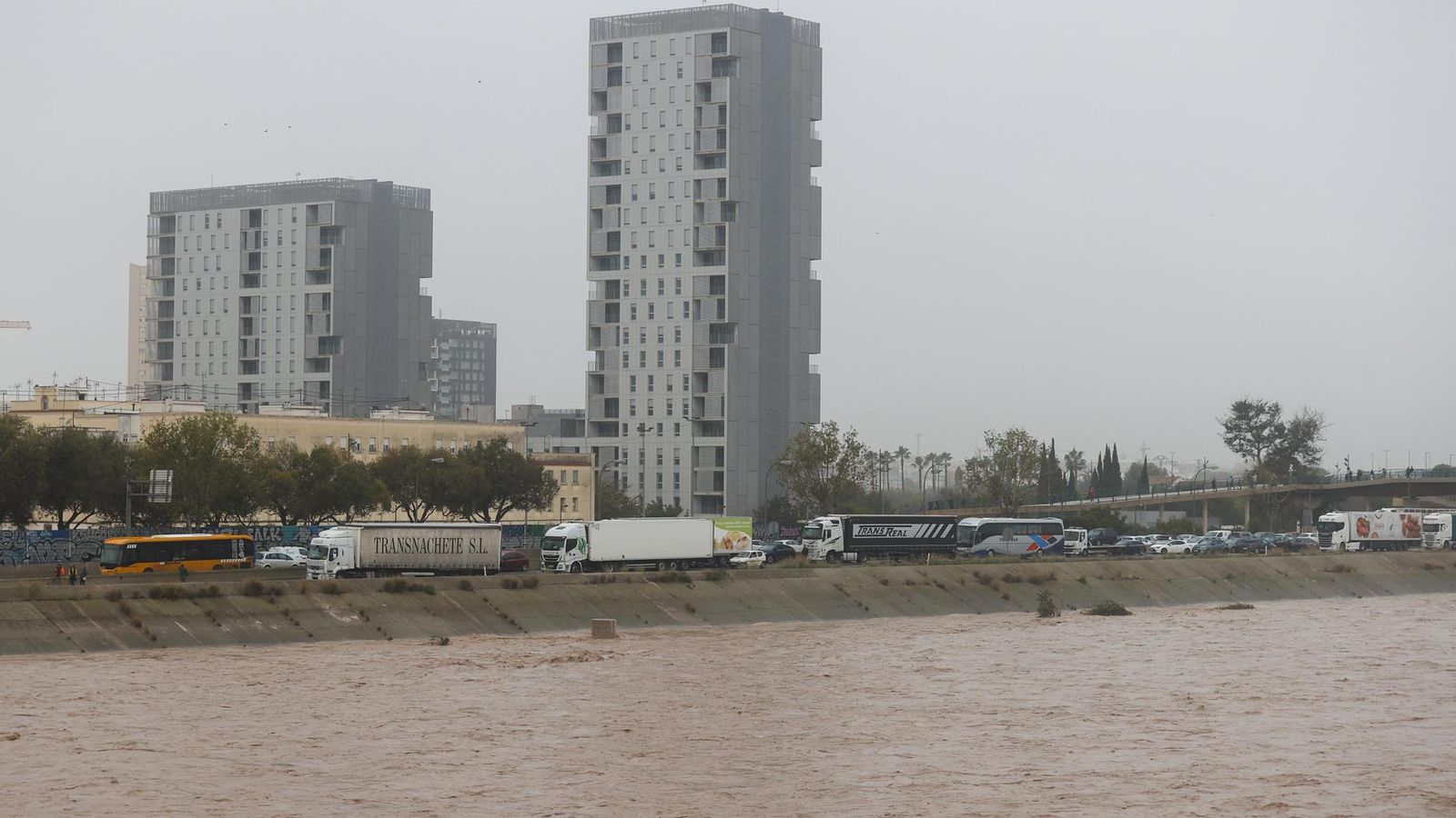 El Turia a su paso por Valencia