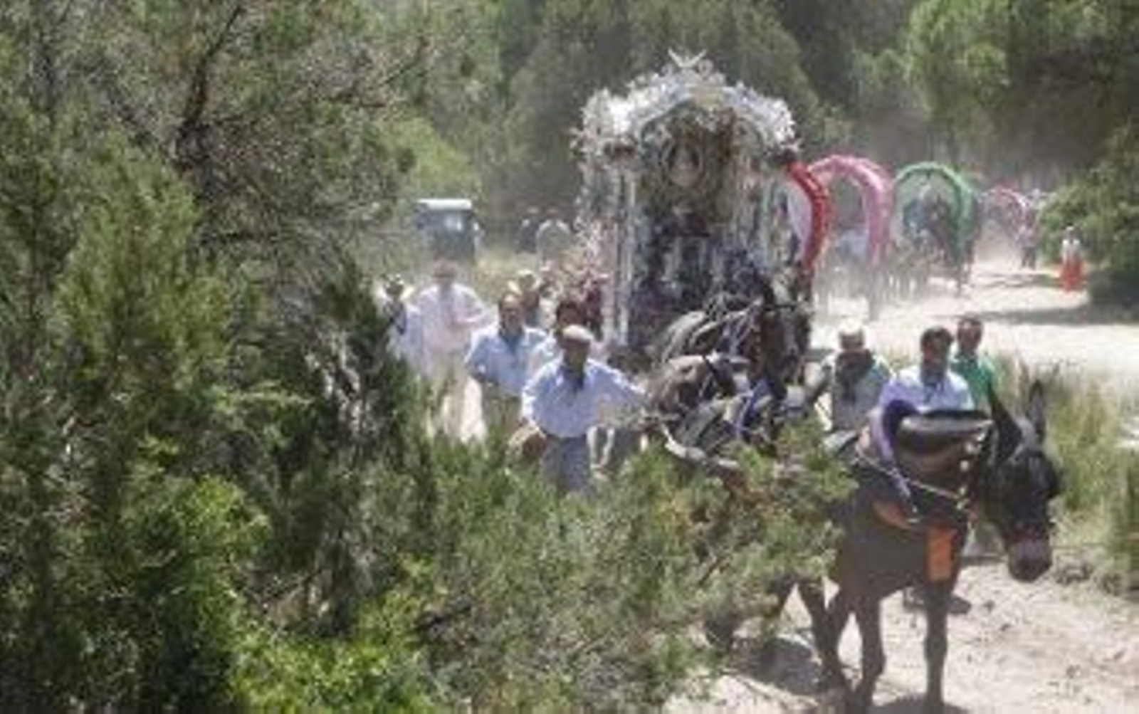 Puro Rocío para Jerez en su reencuentro con Doñana