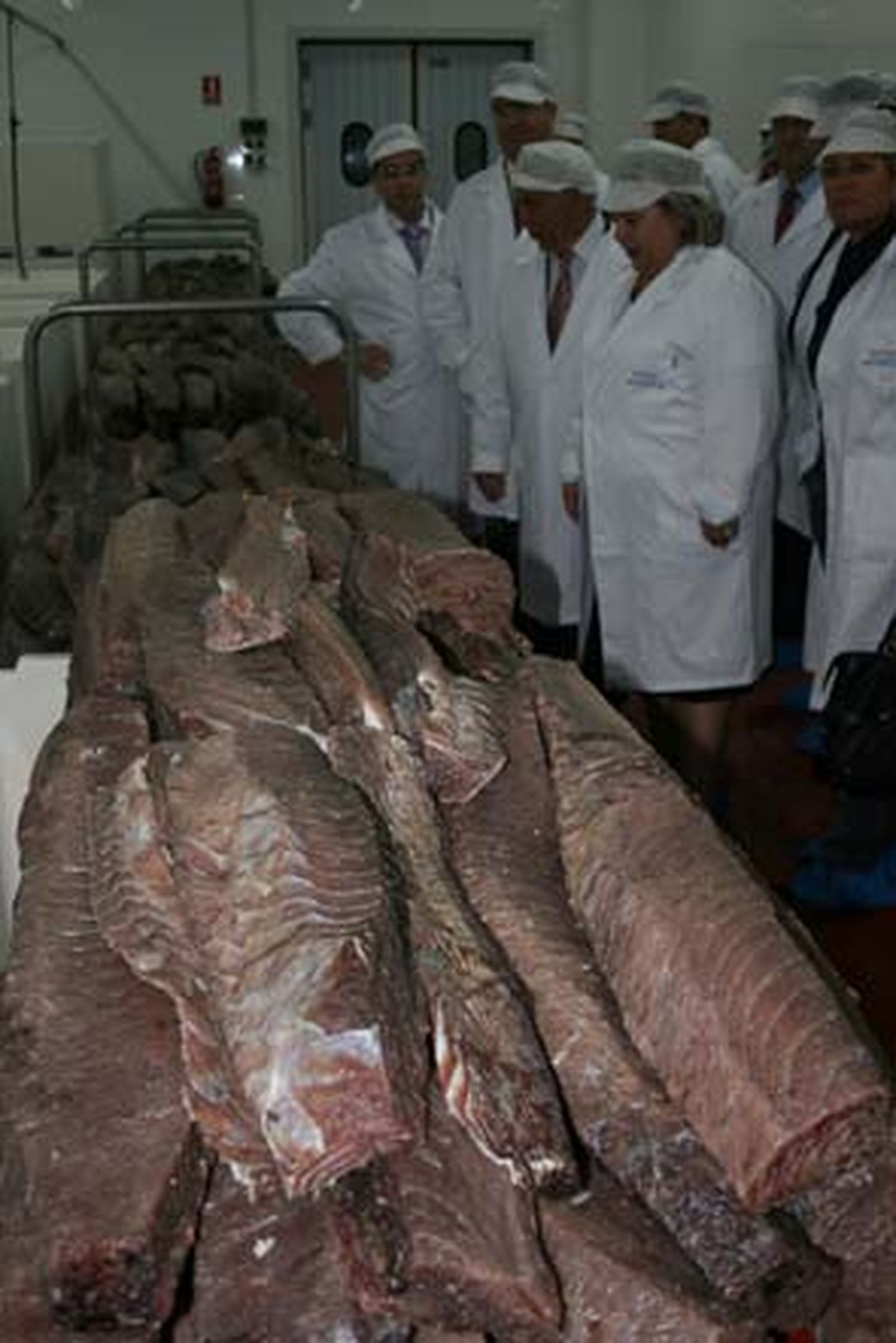 Clara Aguilera inaugura la nueva fábrica de salazones y conservas Herpac, en Barbate

Foto: Manuel Aragon Pina