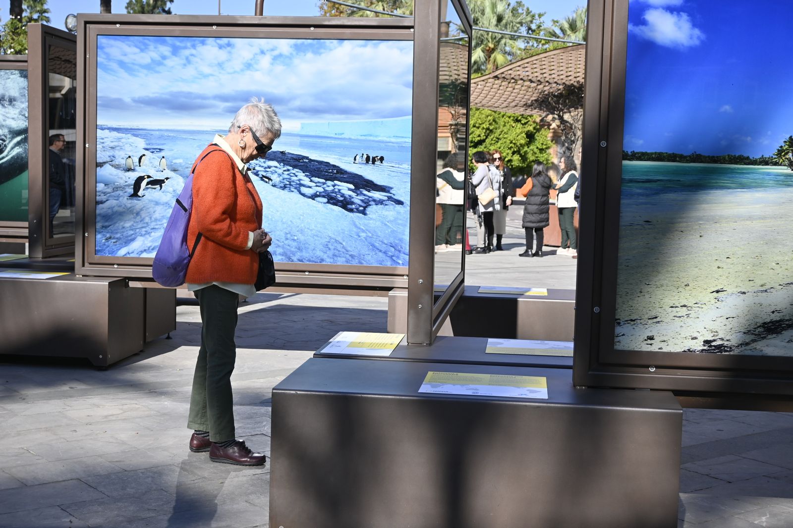 Exposición fotográfica `De Polo a Polo´ en imágenes