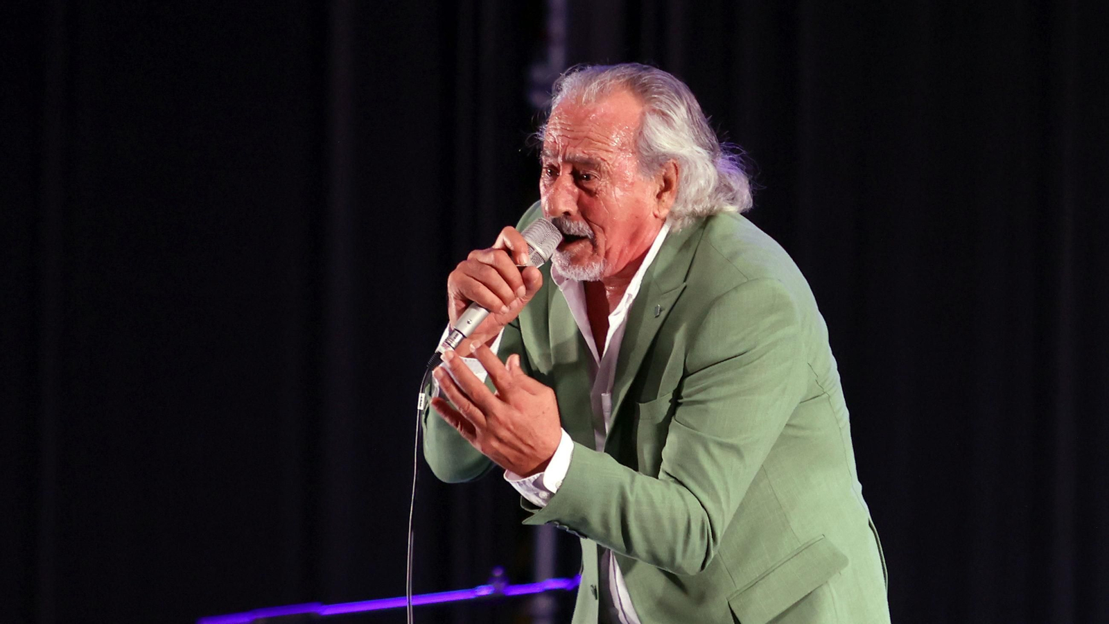 Imágenes de la 58 edición de la Fiesta de la Bulería en Jerez