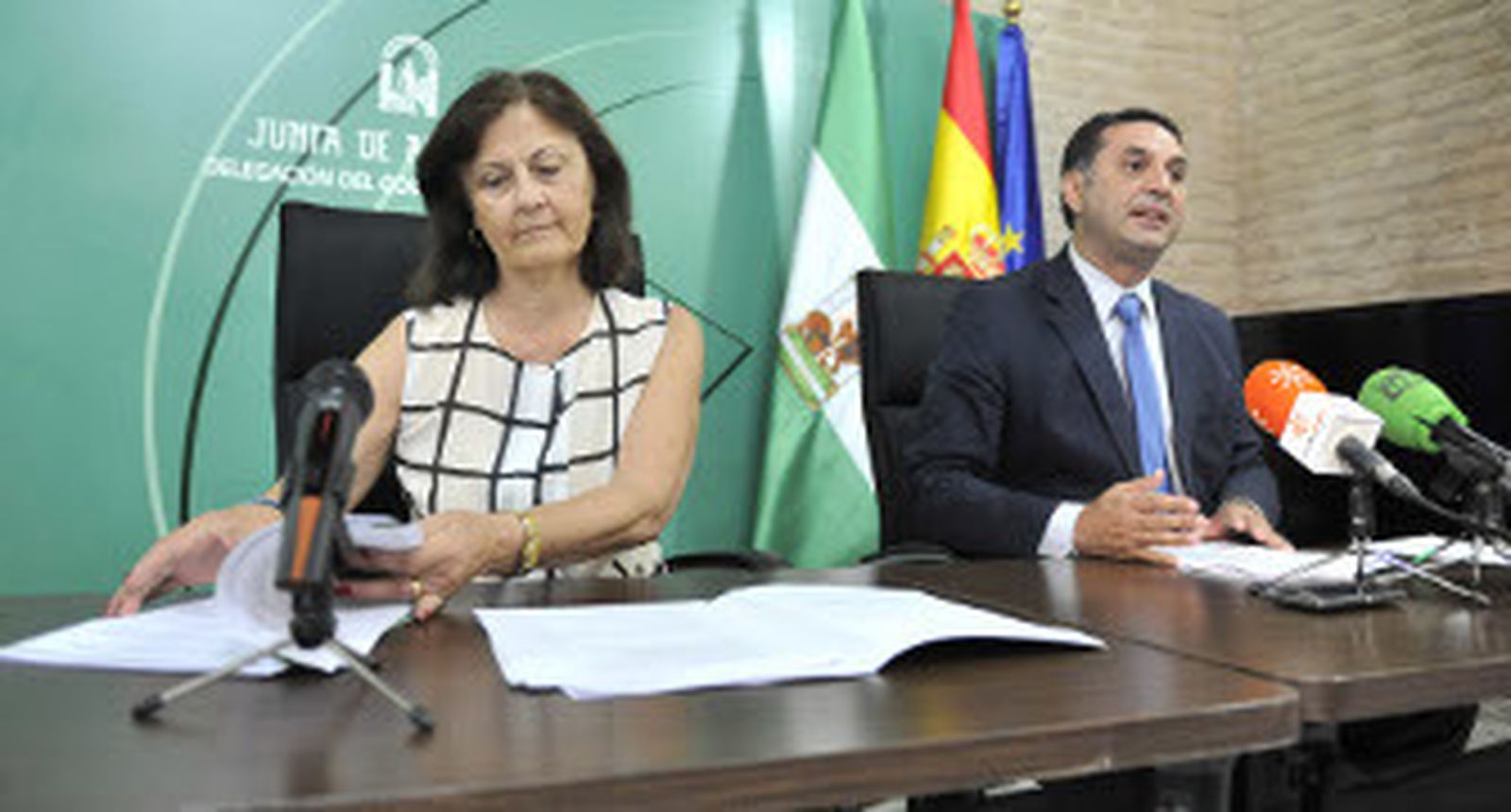 Aurora Cosano y Francisco Javier Fernández, durante la presentación del plan contra el desempleo juvenil. / Juan Carlos Vázquez