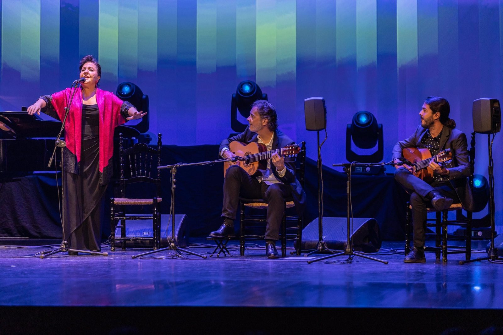 Concierto de Carmen Linares en su ciudad.