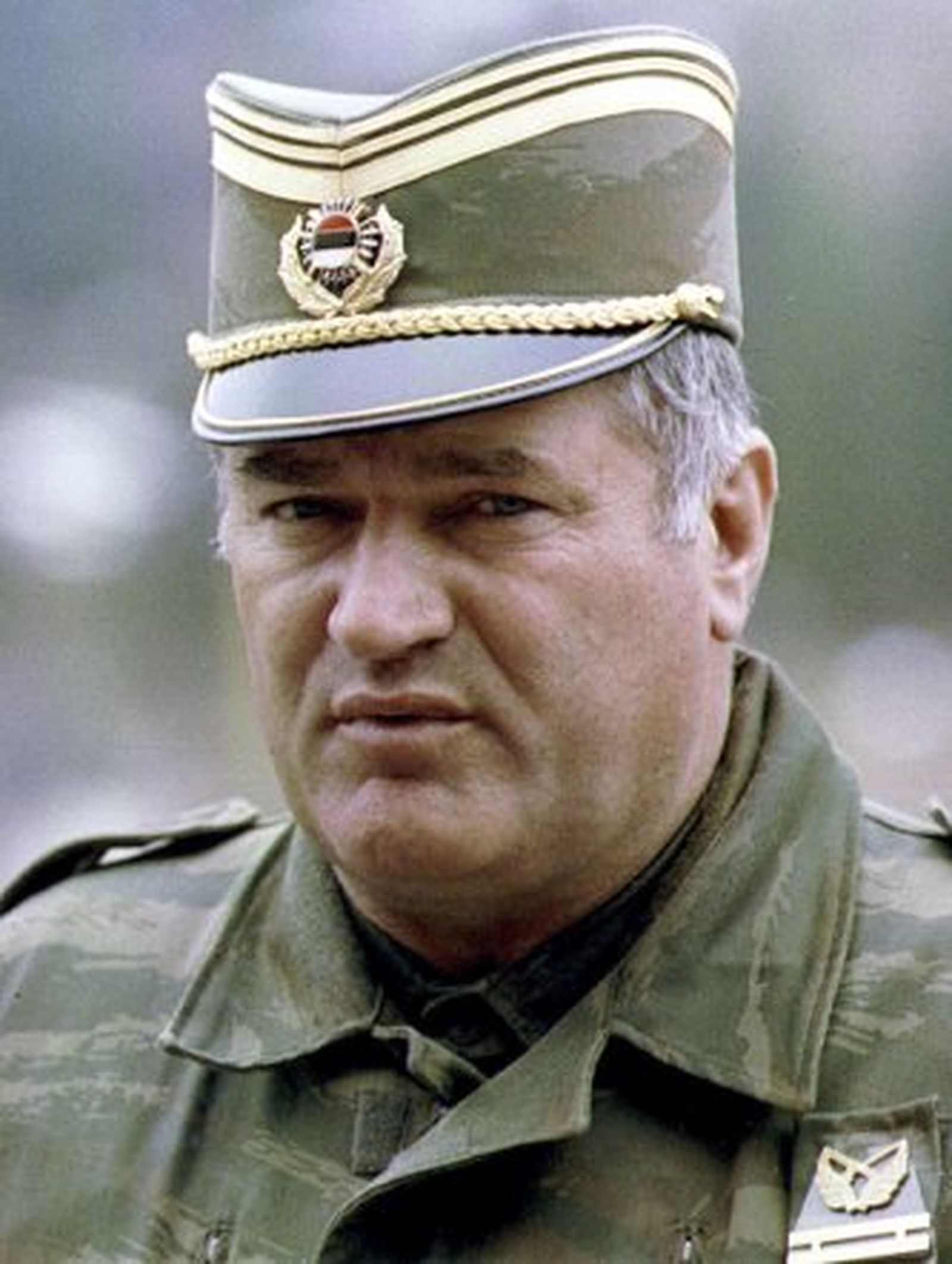 La Justicia serbia recibe un recurso contra la extradición de Mladic