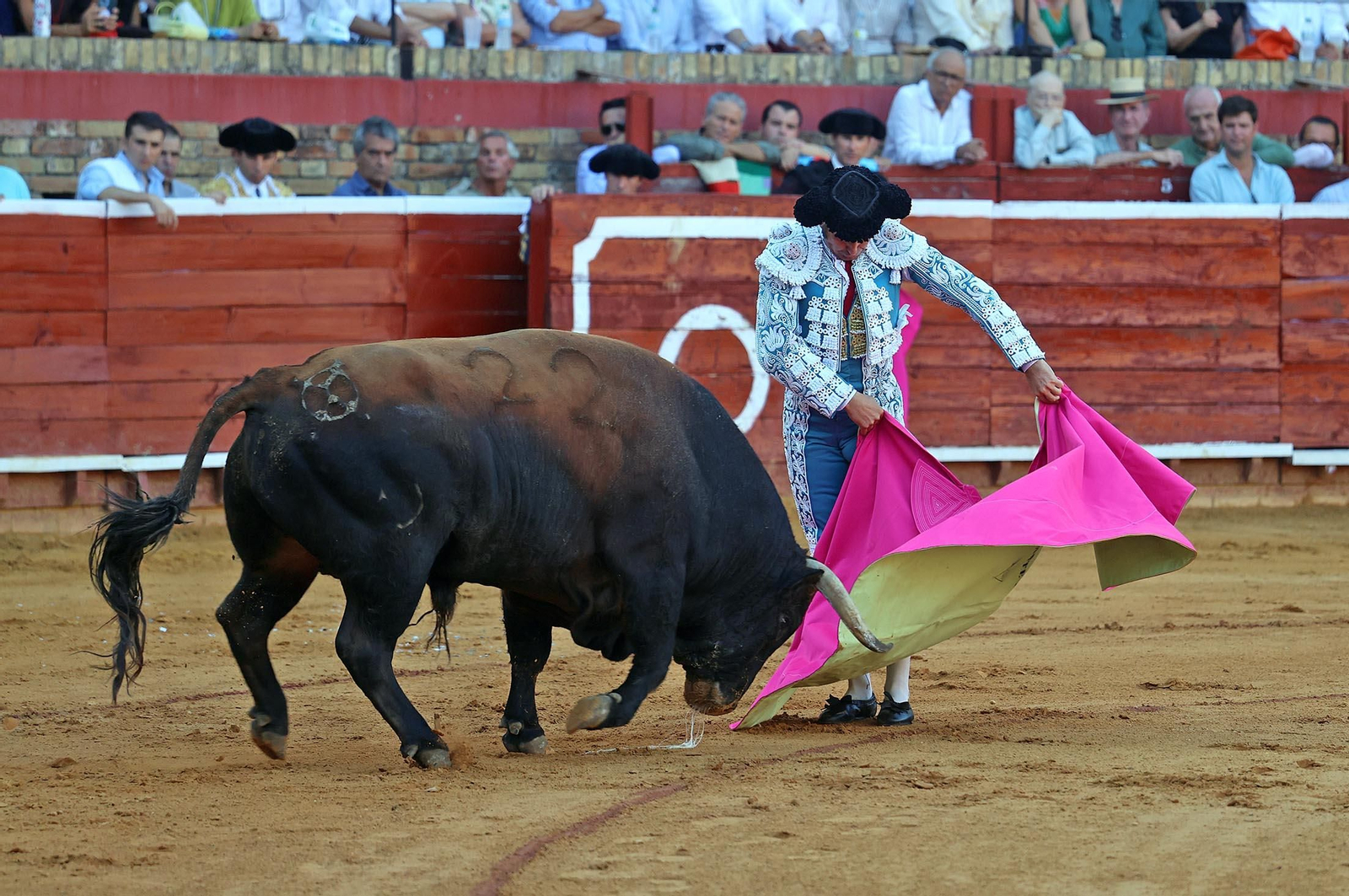 Toros La Merced 2025: Imágenes de la Corrida de Toros de Morante de la Puebla, Daniel Luque y Juan Ortega