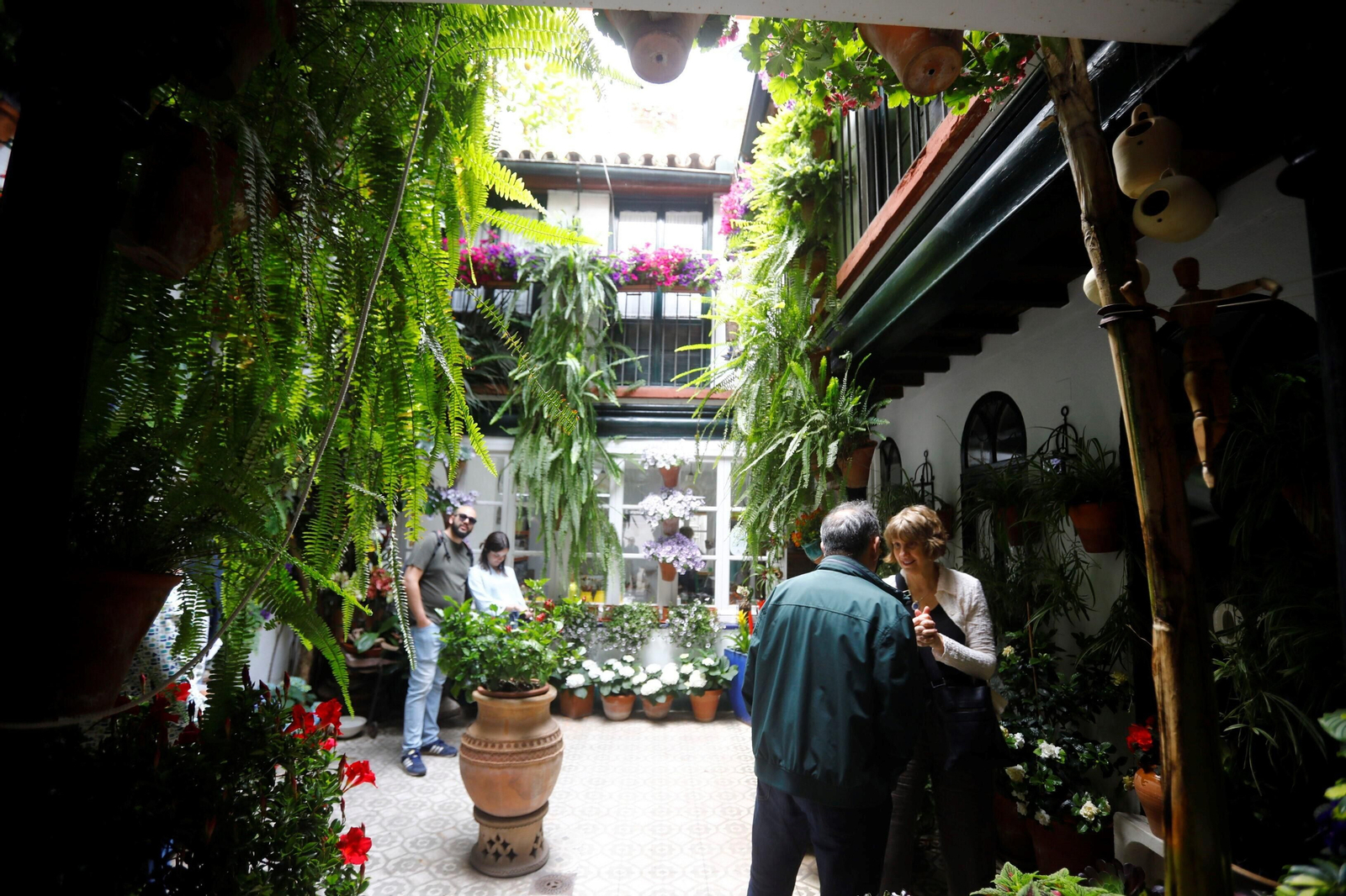 Los patios de Córdoba de la ruta Judería-San Francisco, en imágenes