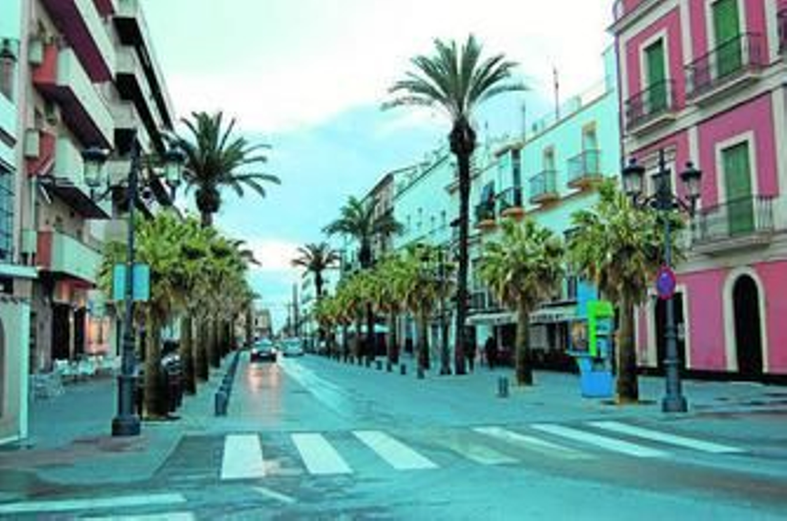 Una recreación virtual, realizada por Ecologistas en Acción, sobre la plantación de washingtonias en la avenida.