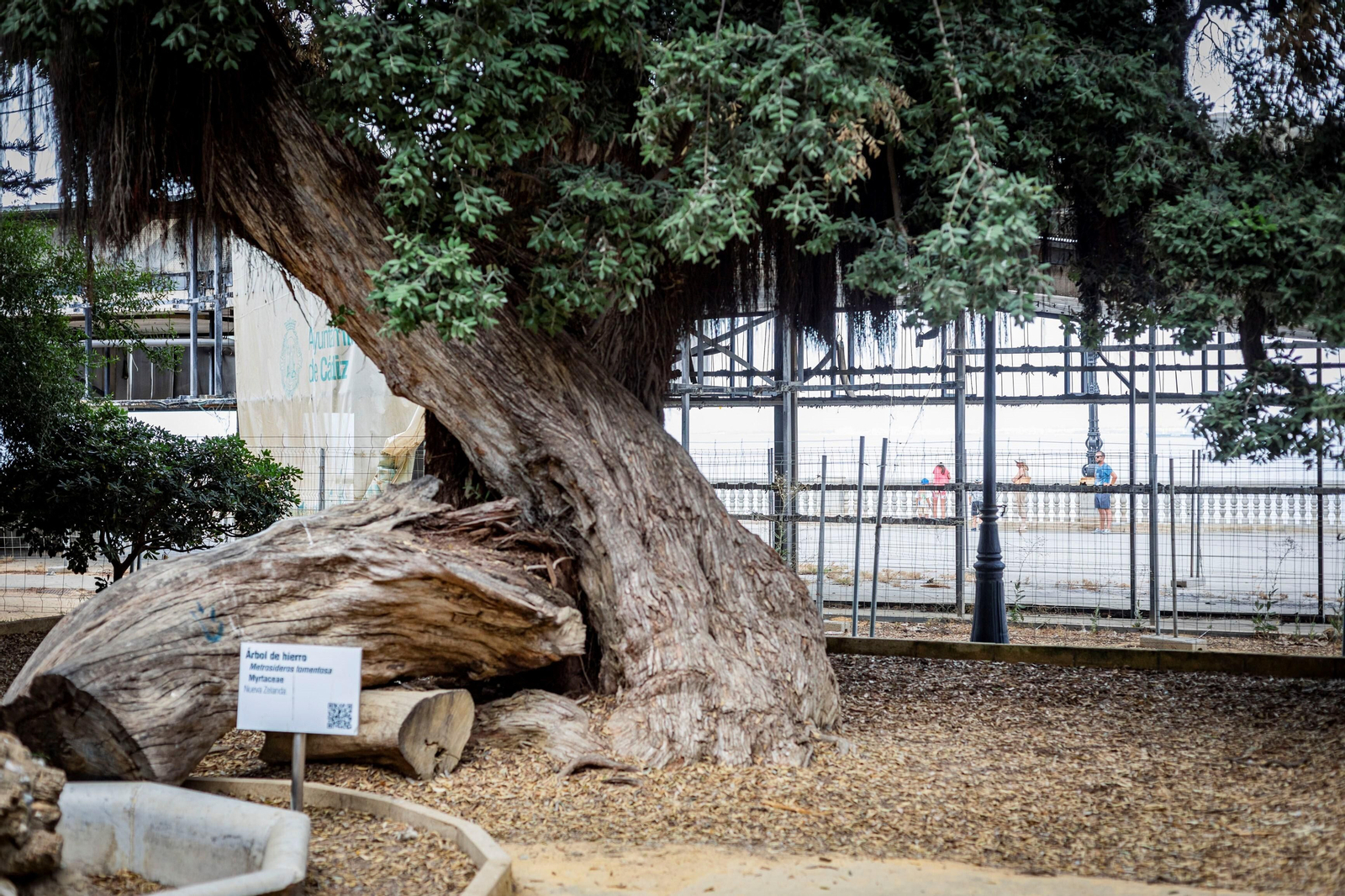 Imágenes del abandono del parque Genovés en Cádiz