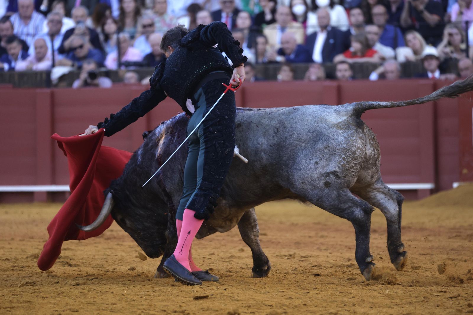 Las imágenes de la corrida de los Victorinos en la Maestranza de Sevilla