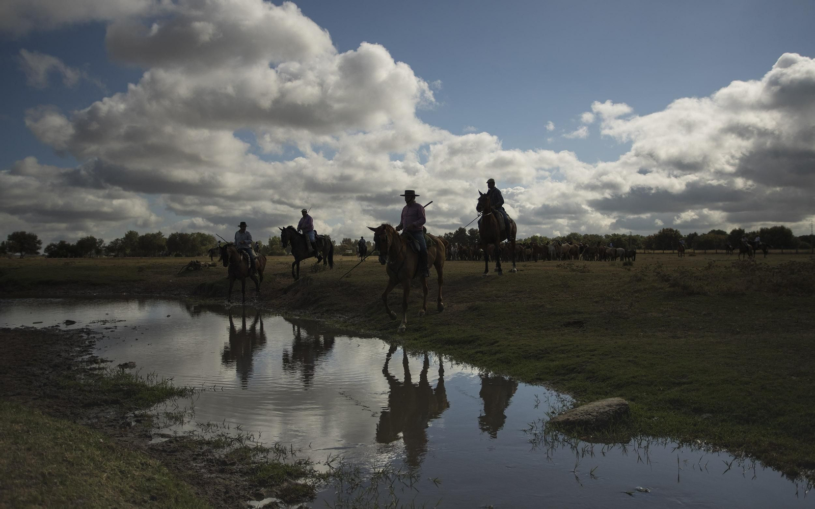 La Saca de las Yeguas, en imágenes