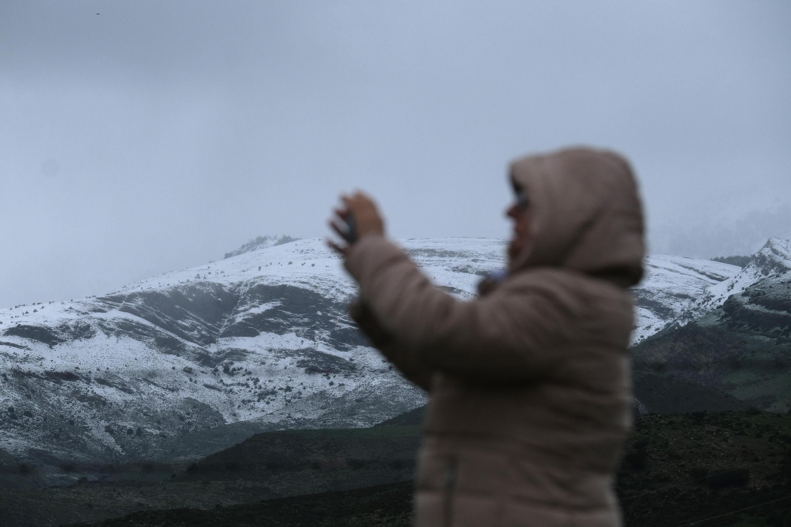 La nueva nevada  en el Parque Nacional Sierra de las Nieves, en fotos