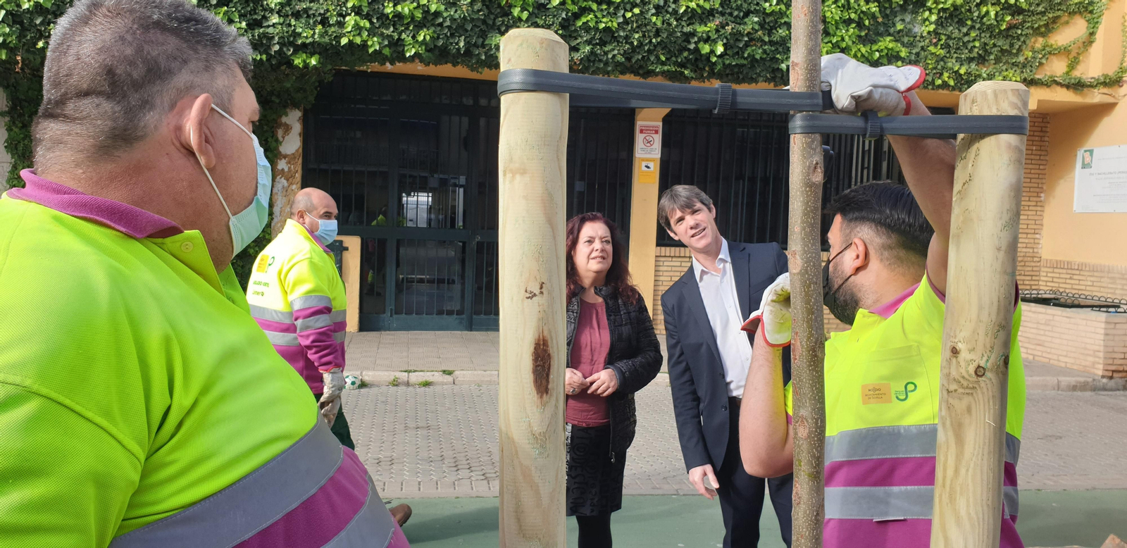 El delegado David Guevara destaca la importancia de la protección del naranjo como patrimonio verde de Sevilla.