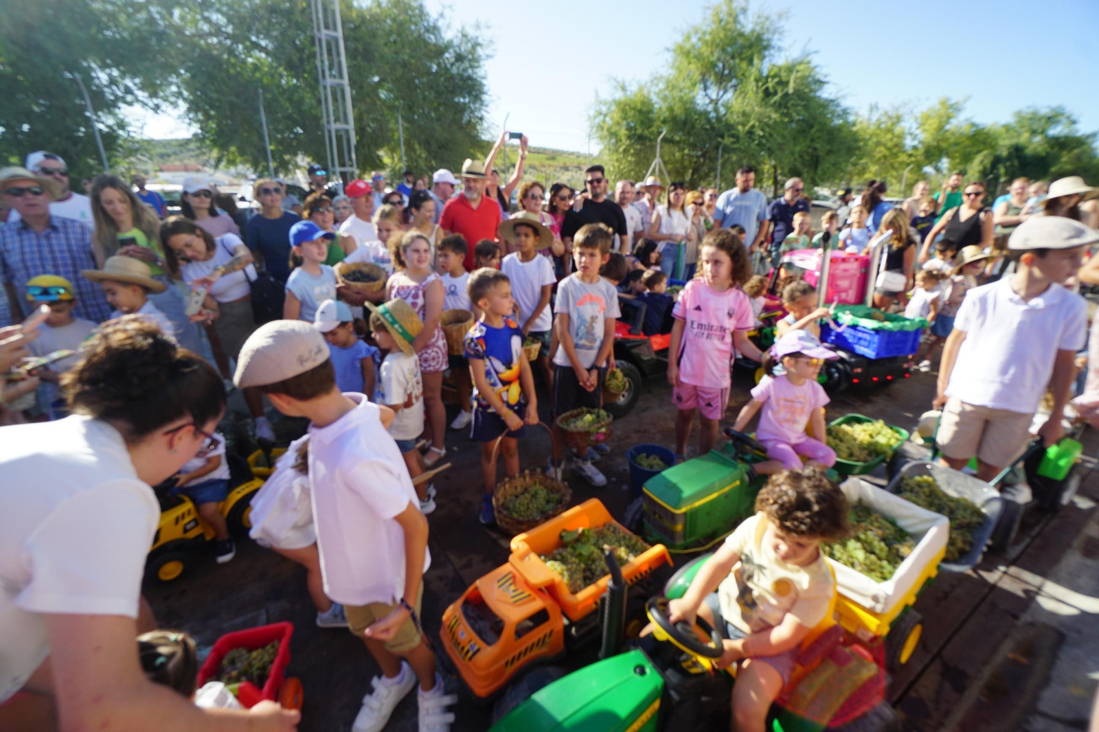 Vendimia infantil de Montilla