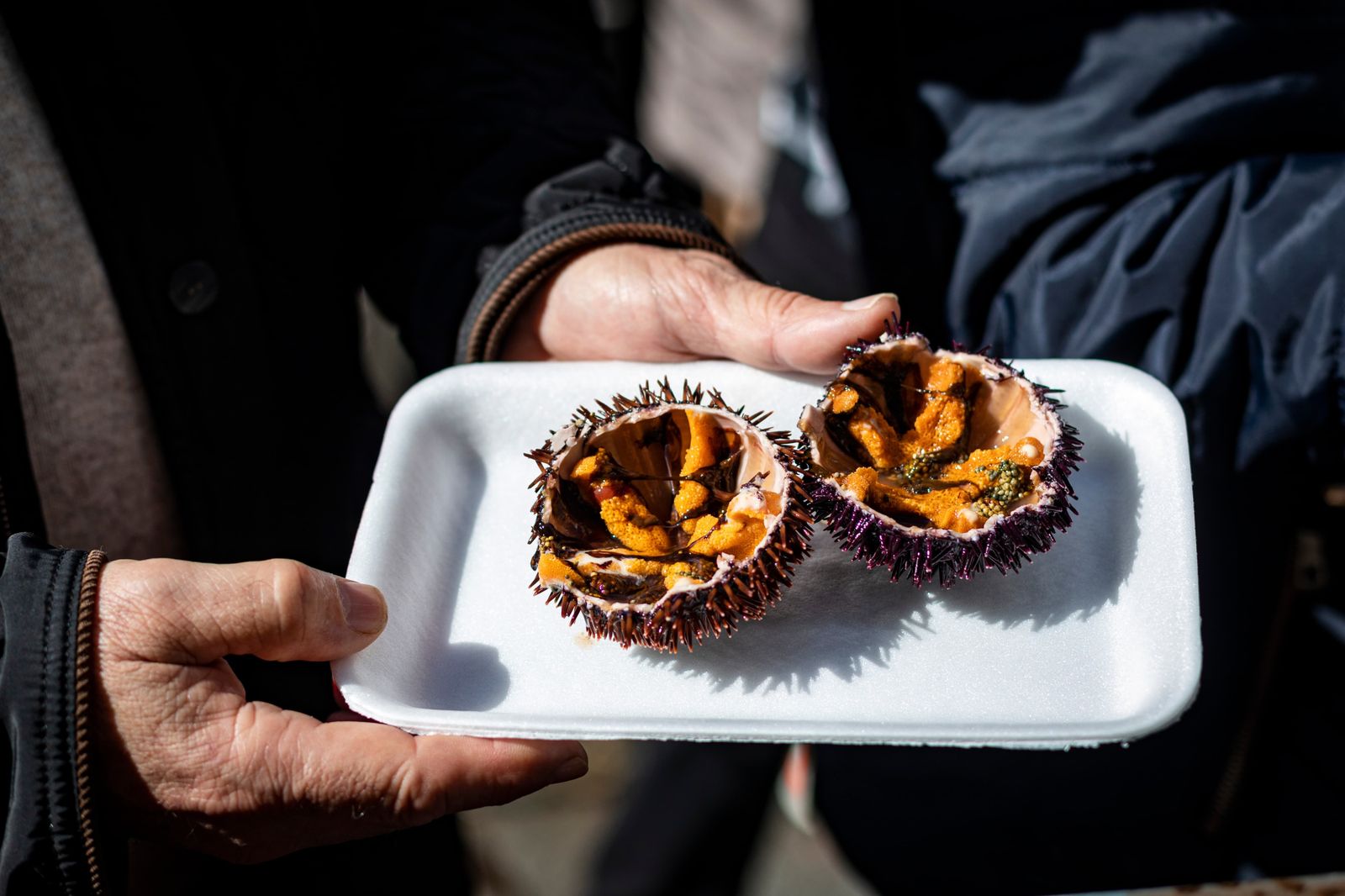 Búscate entre las mejores imágenes de la Erizada 2024 del Carnaval de Cádiz