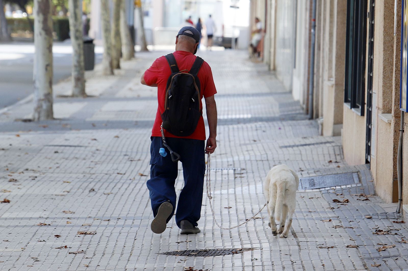En Granada se pueden hacer distintas actividades en compañía de la mascota