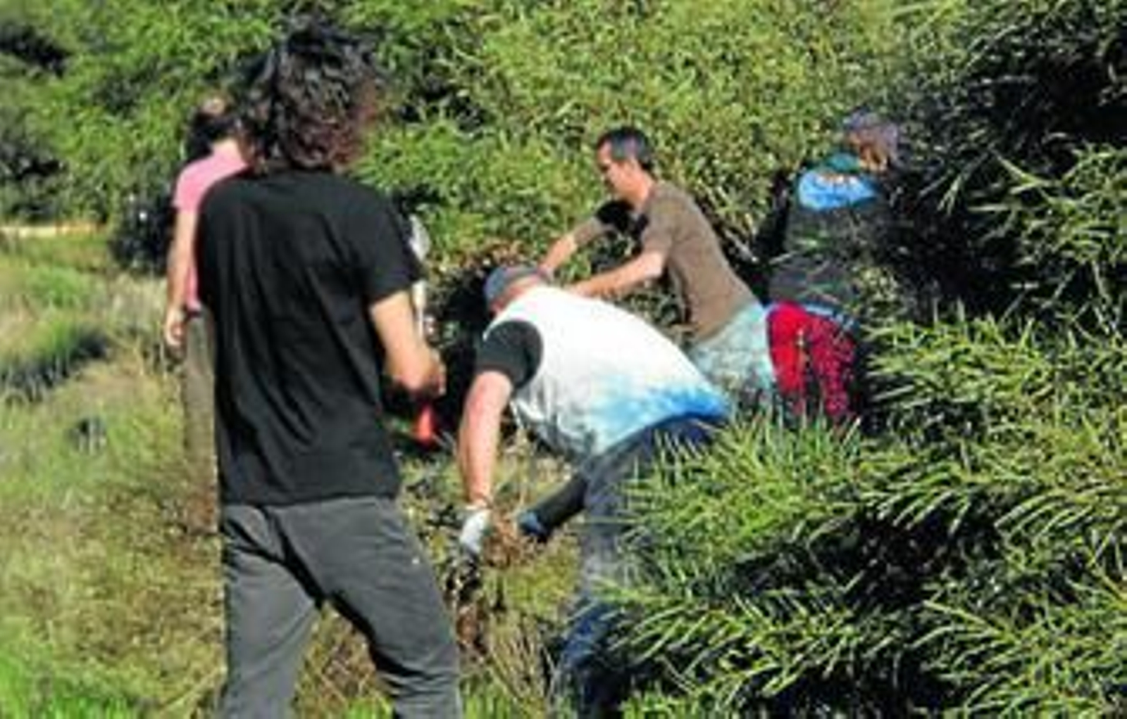 Trabajo de adecuación del huerto social en Ruescas.