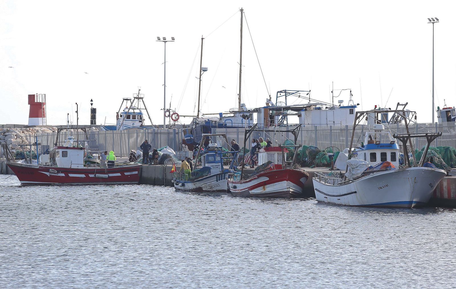 El puerto pesquero de La Línea, en imágenes