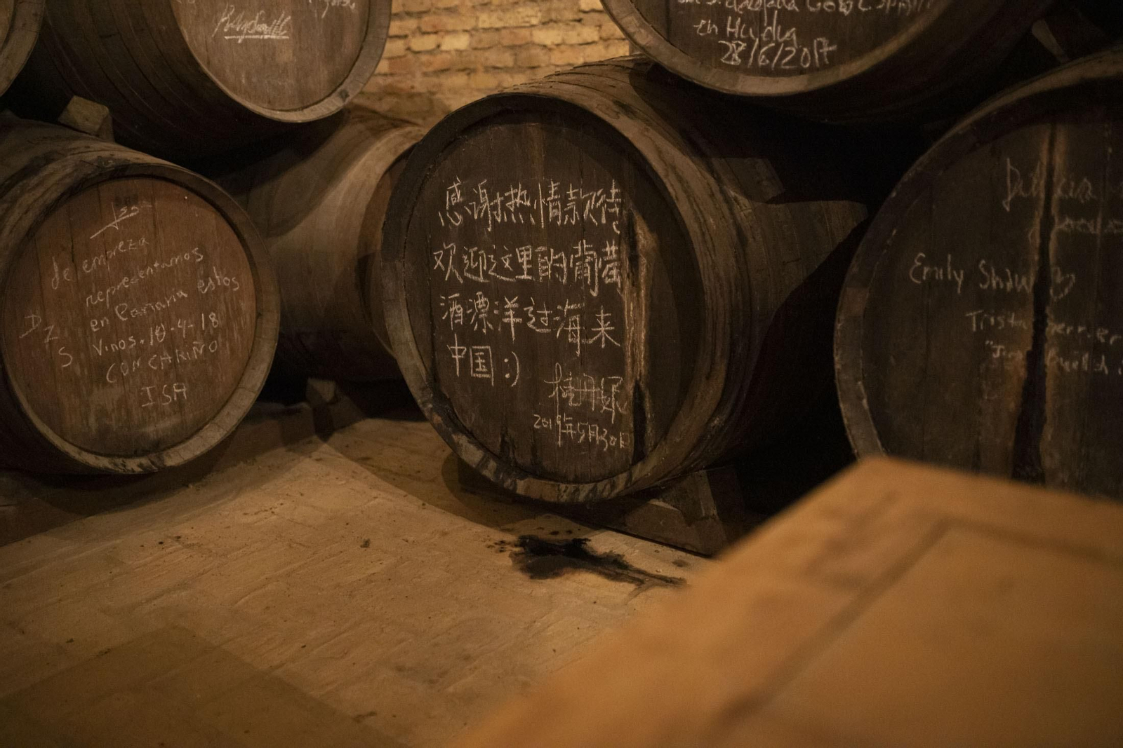 Imágenes de la vendimia en el Condado de Huelva