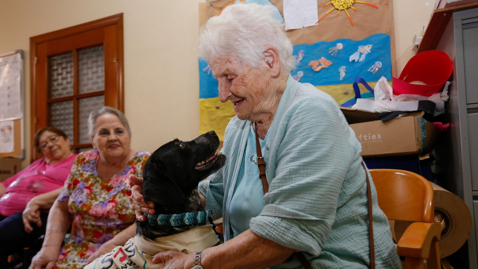 La visita de los perros de la protectora de Los Barrios a la residencia de mayores, en imágenes