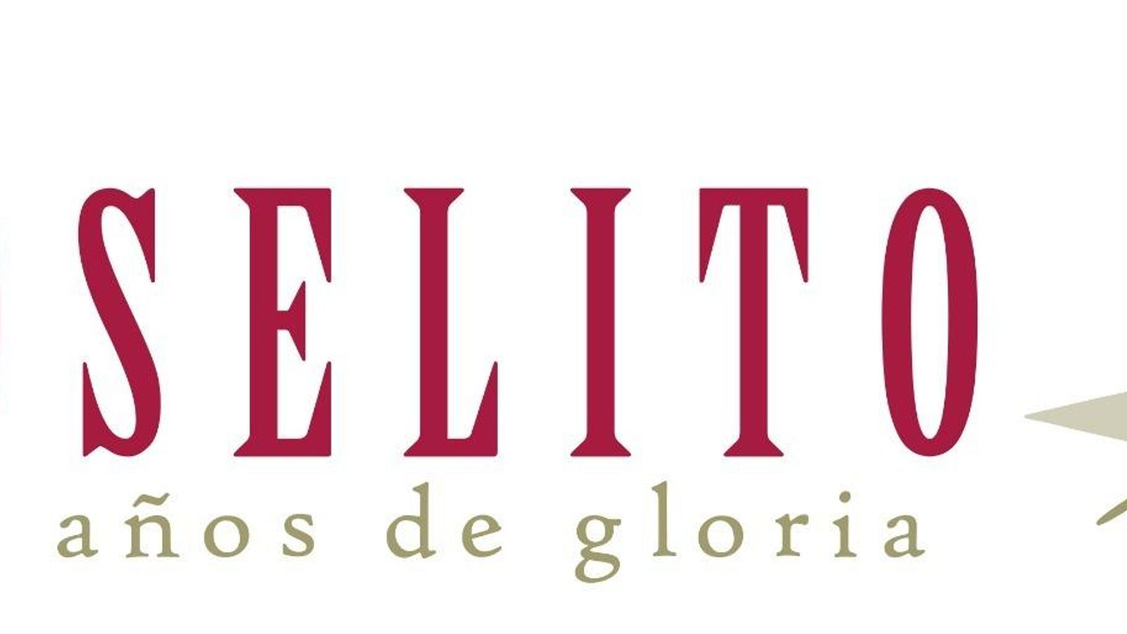El logotipo del Año Joselito.
