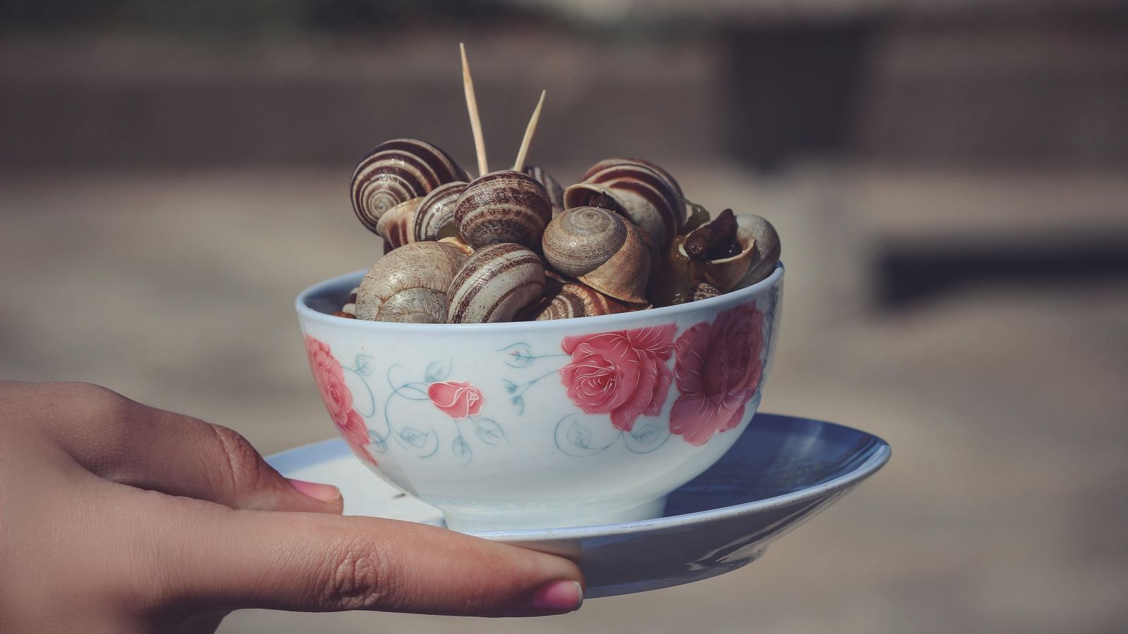 La época de tomar caracoles es a finales de mayo y junio