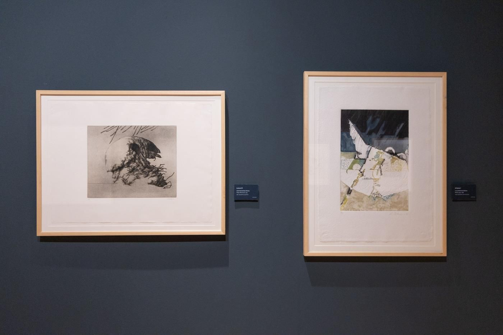 Inauguración de la nueva sala de exposiciones permanentes del Museo de Jaén con la colección de arte gráfico