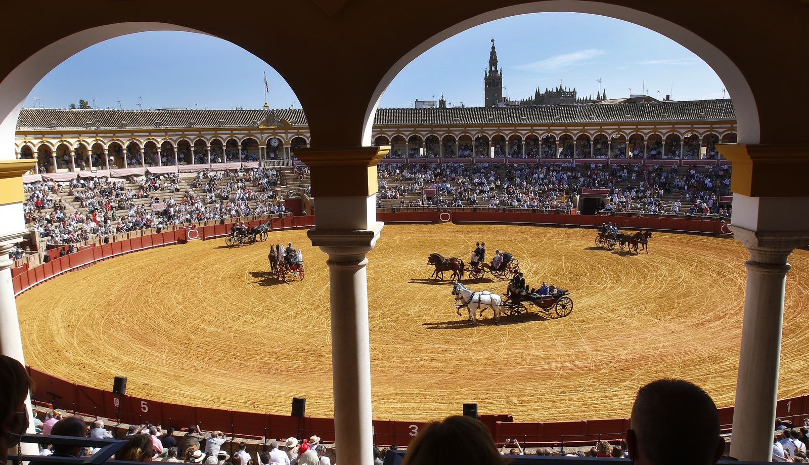 Exhibición de Enganches