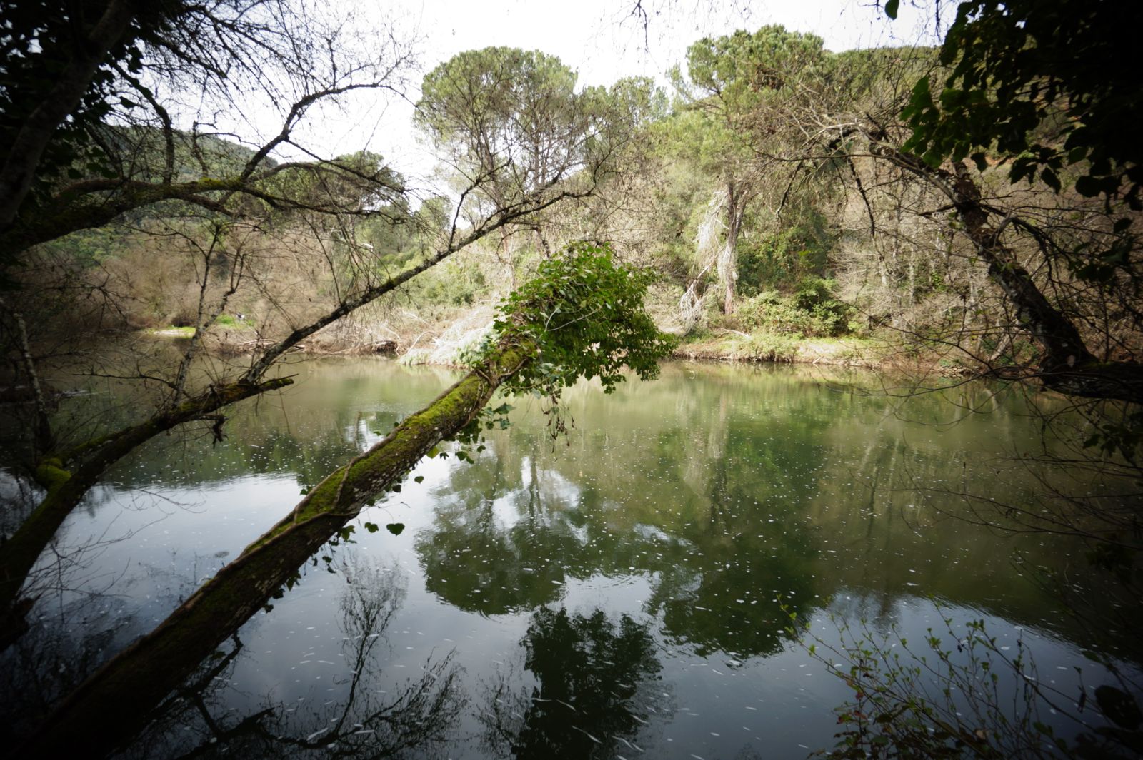 Una ruta por los Baños de Popea en Córdoba, en fotografías