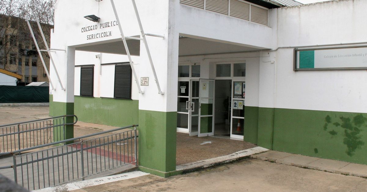 IU denuncia que el impago de nóminas en Mayse pone en riesgo la limpieza de colegios y edificios municipales en El Puerto