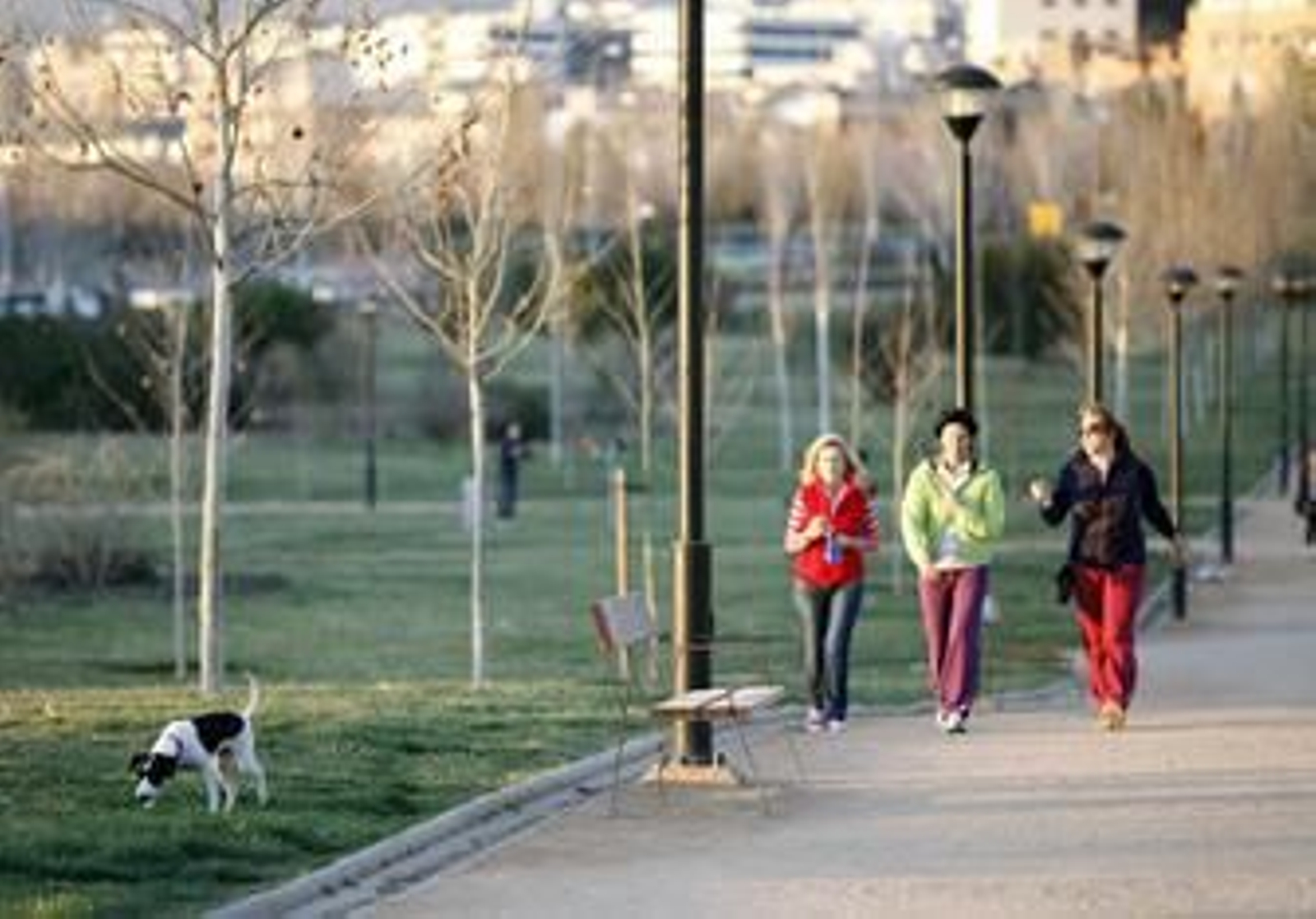 Instalaciones del parque Tico Medina, zona donde se habilitará el parque para perros.