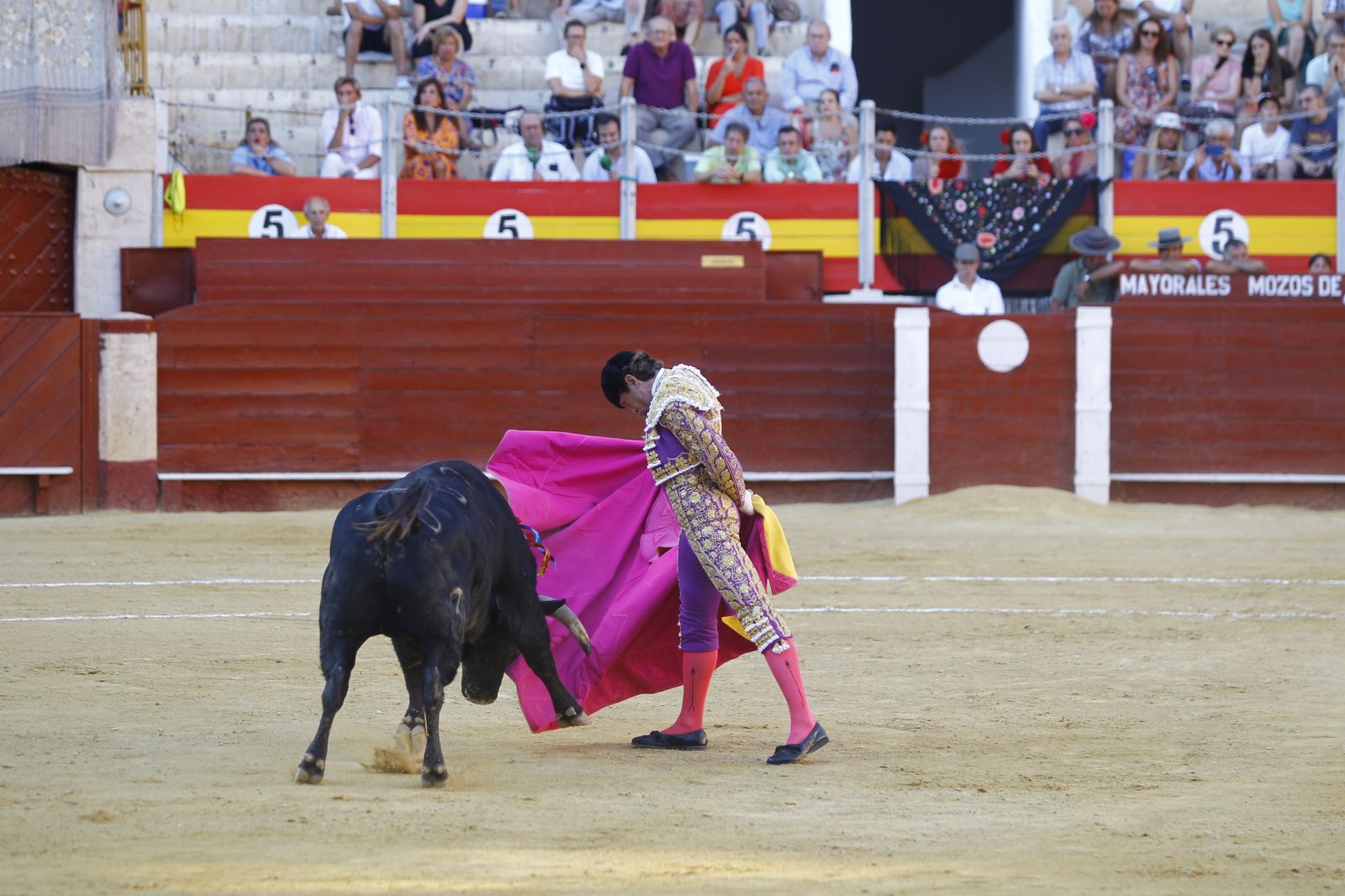 Fotogalería de la novillada de la Feria Taurina de Almería 2022