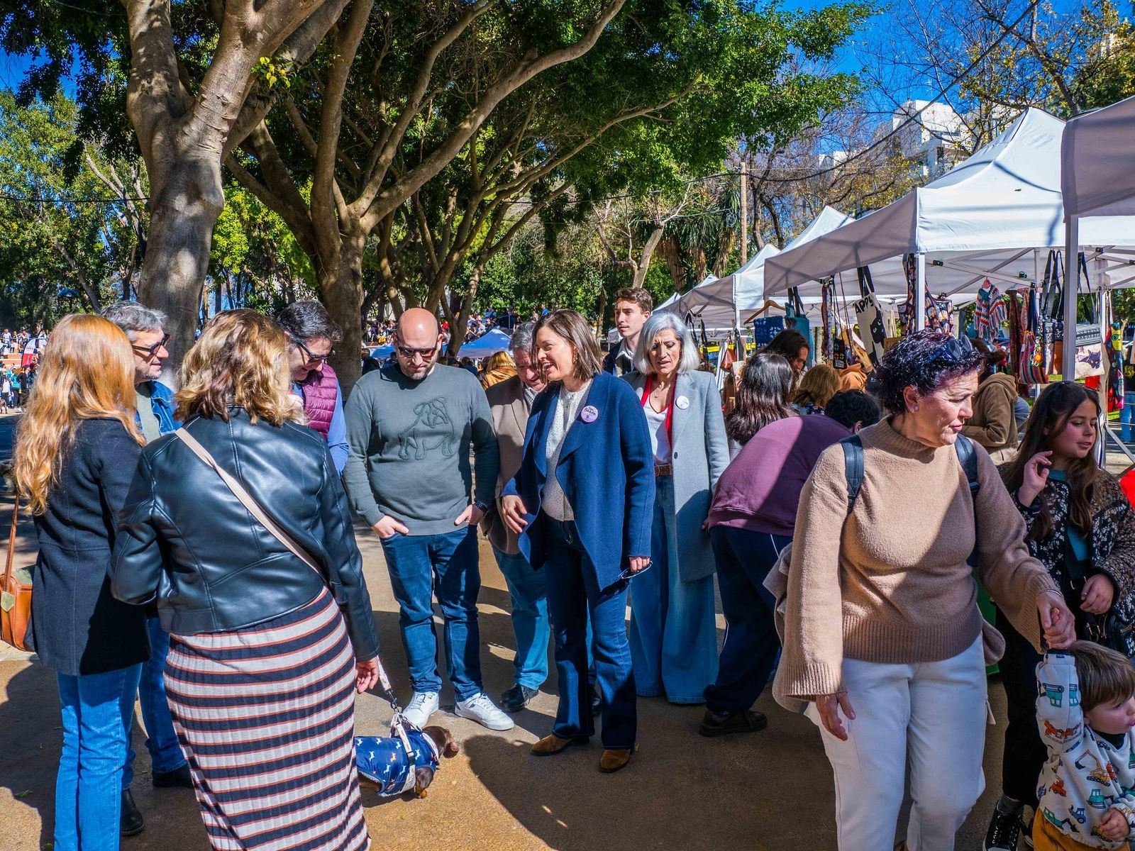 Las imágenes de San Antón 2025 en San Fernando