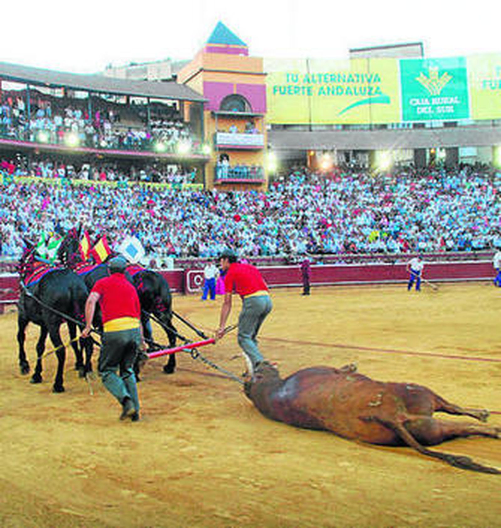 Juli y José Tomás, premios El Cabezo