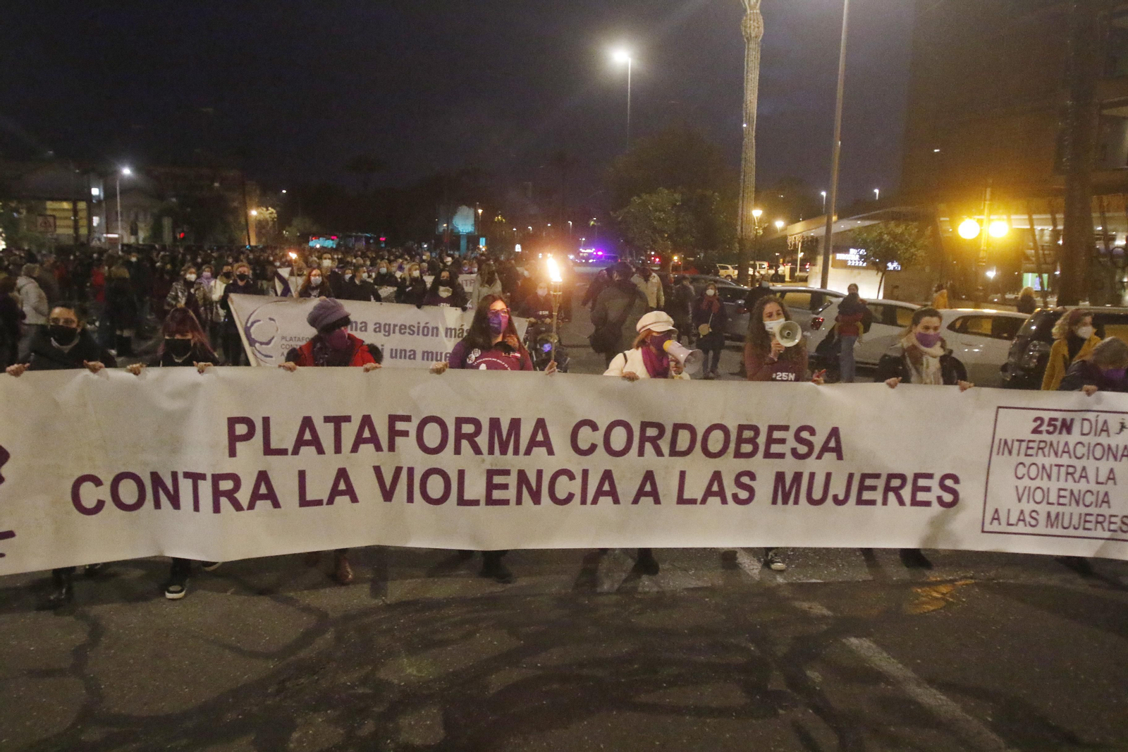 La manifestación contra la violencia de género en Córdoba, en fotografías