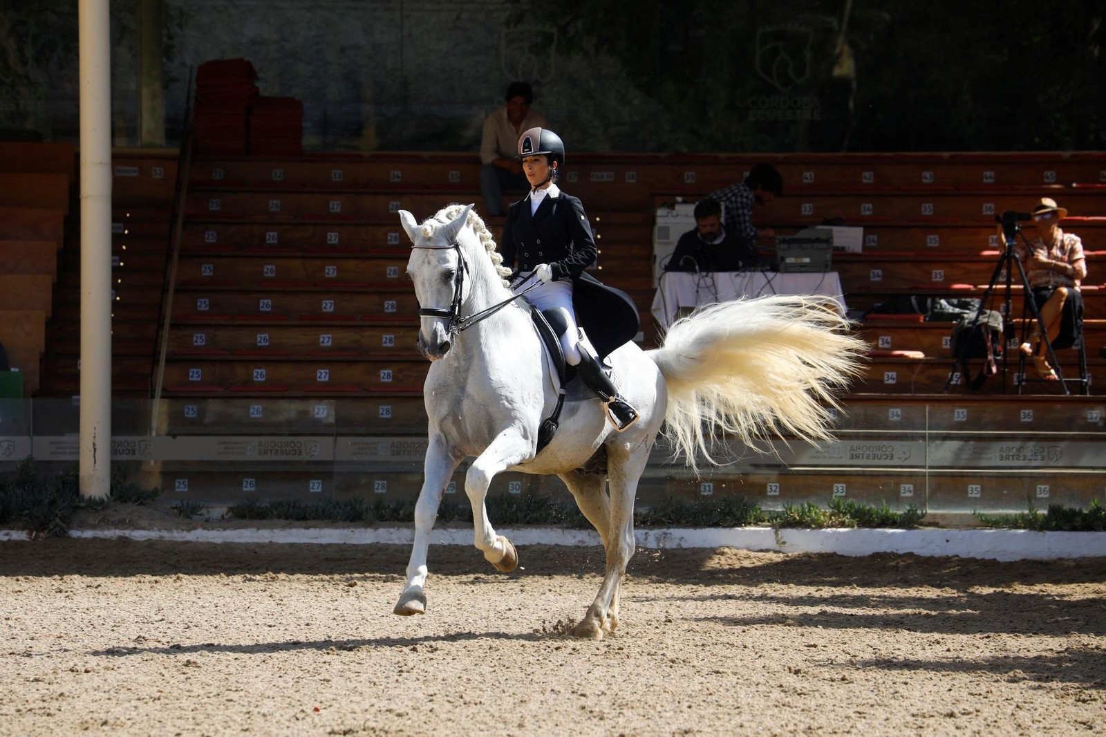 El concurso nacional de Doma Clásica en las Caballerizas Reales de Córdoba