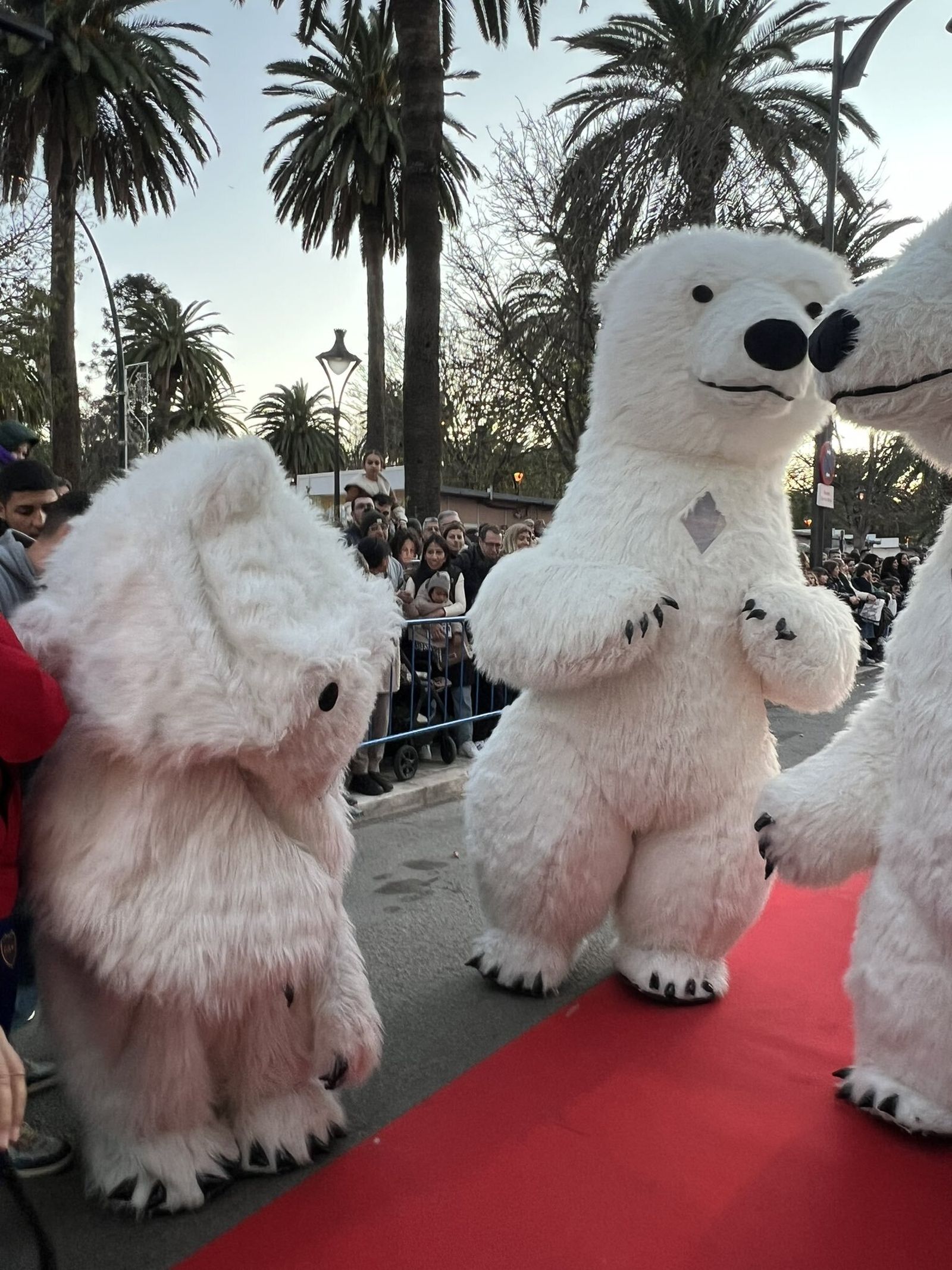 El oso perjudicado de las Cabalgatas de Cádiz reaparece en Málaga y... vuelve a pasarle lo mismo