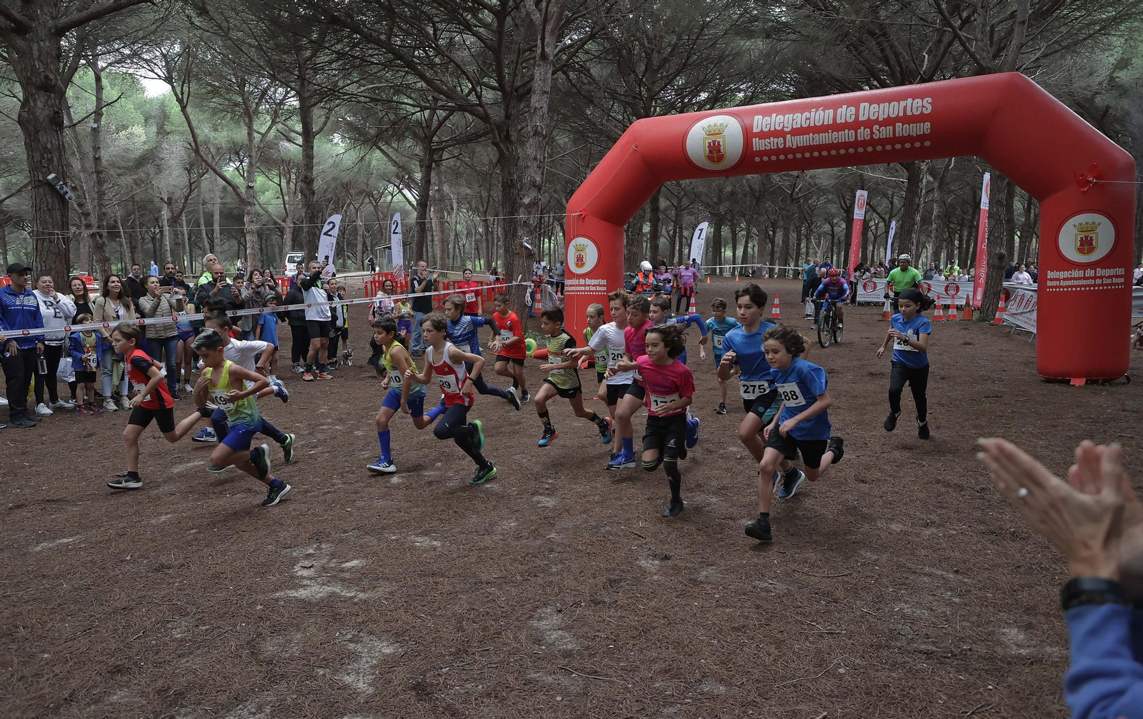 Búscate en el V Cross Pinar del Rey en San Roque