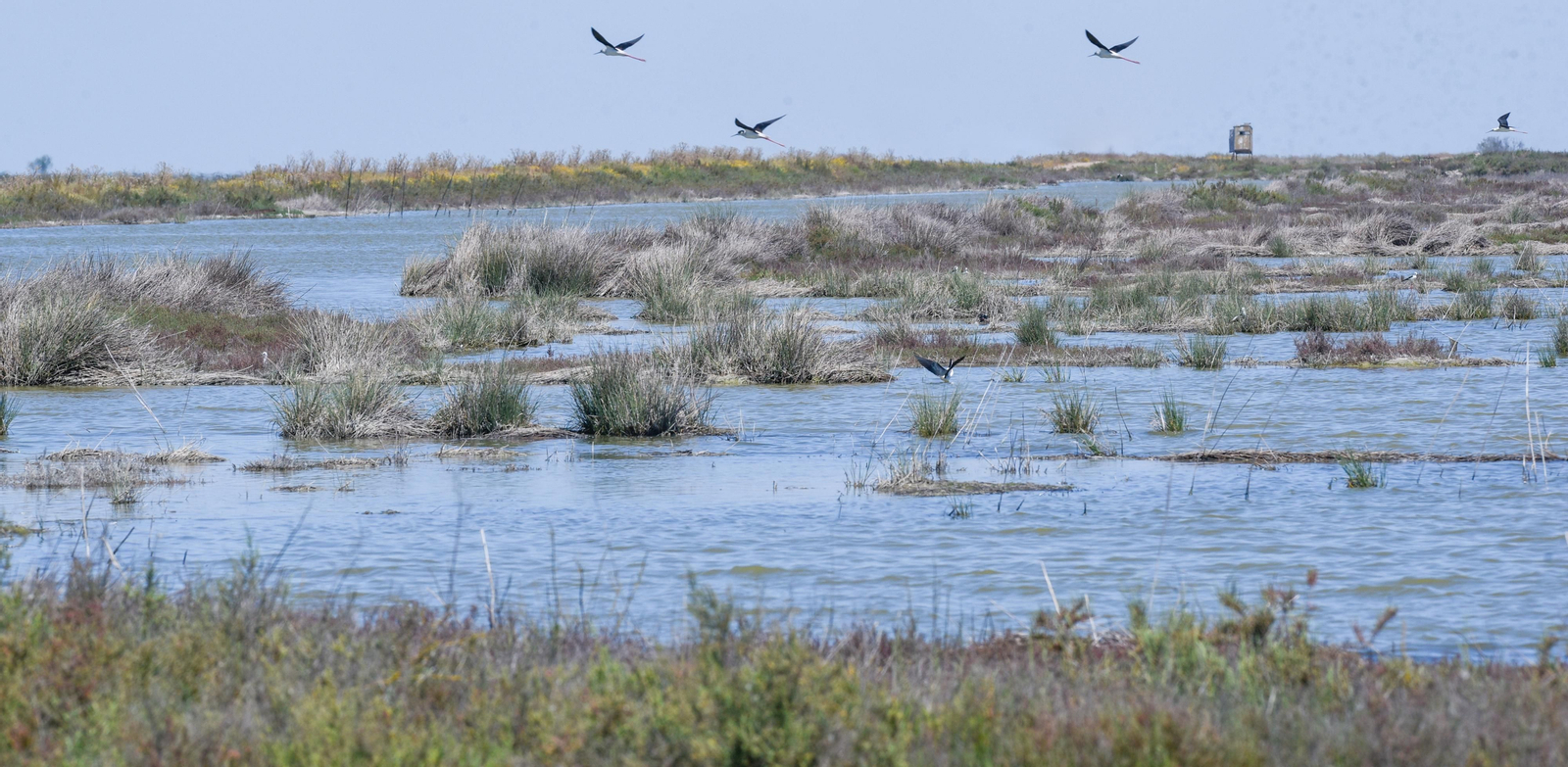 Imágenes de la finca Veta la Palma