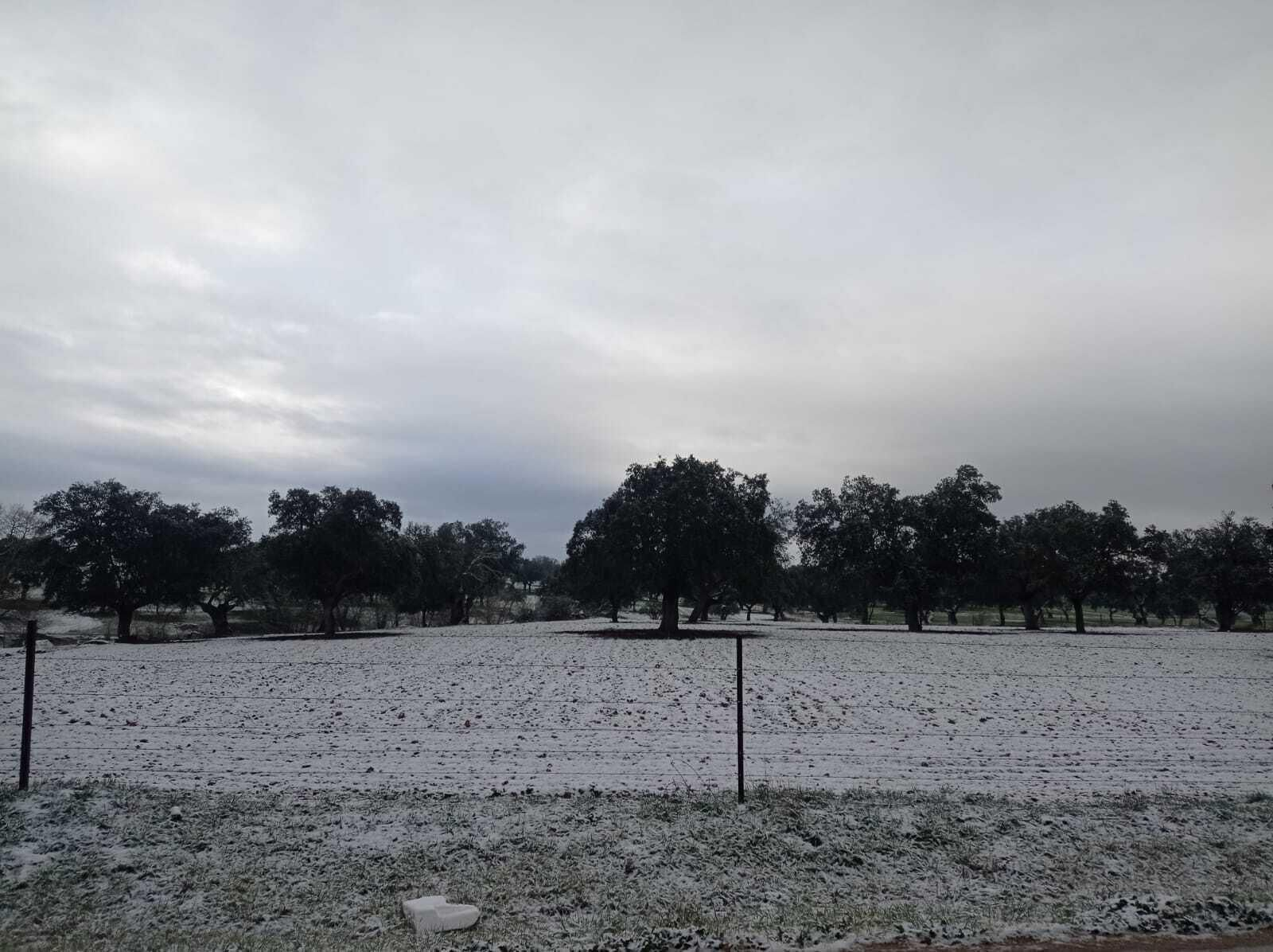 Nieve en la dehesa de Villaralto. Nieve en Villaralto.