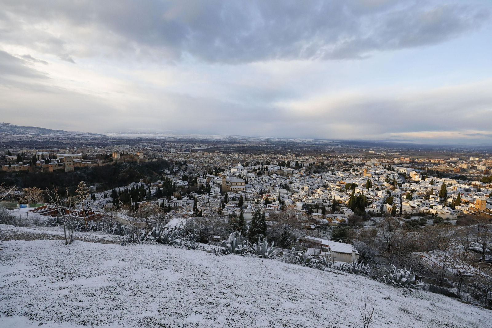 Fotos: la borrasca Filomena hace que Granada amanezca cubierta de nieve por primera vez este 2021