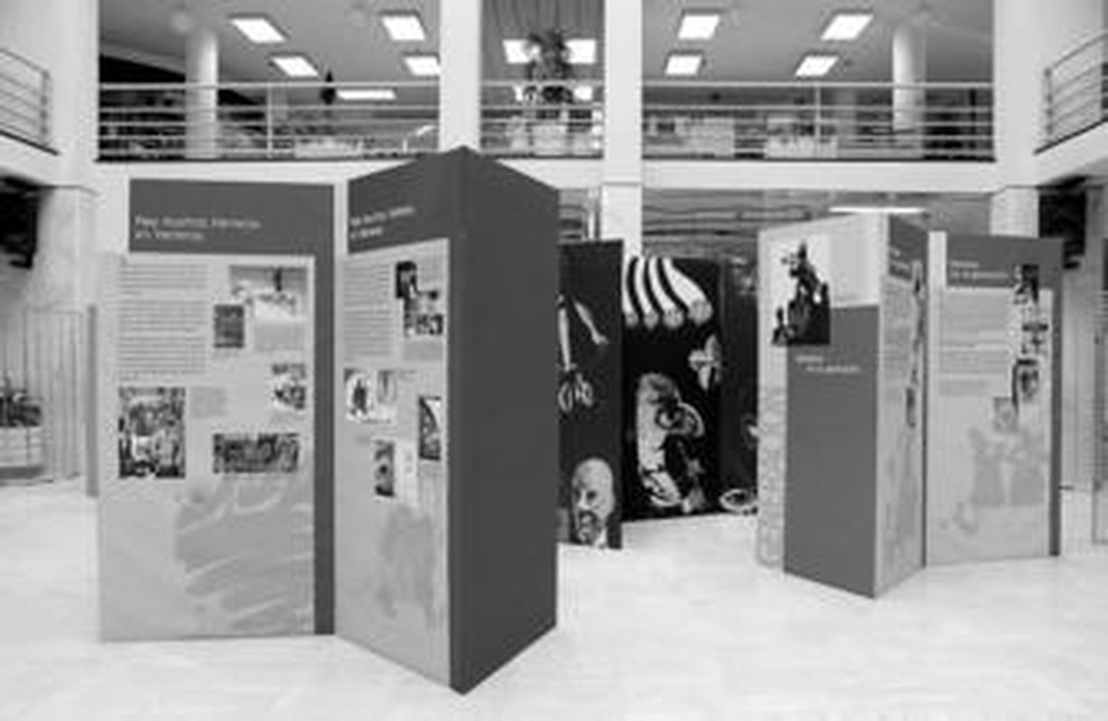 La exposición está instalada en el Patio de Luces del Ayuntamiento de El Ejido.