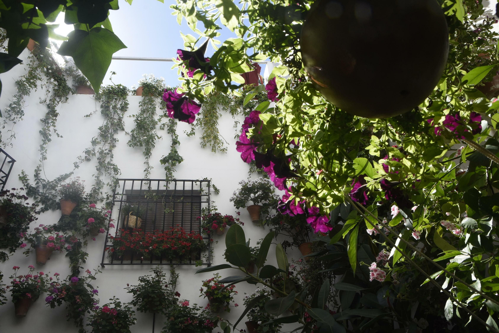En imágenes: la ruta de los Patios del Alcázar Viejo