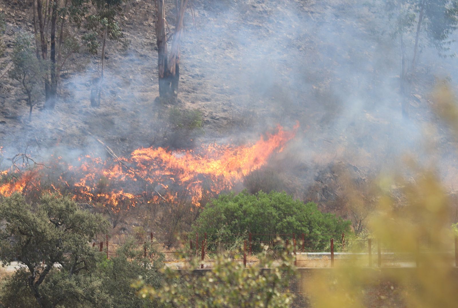 Imágenes de la devastación que deja a su paso el incendio de Almonaster la real.