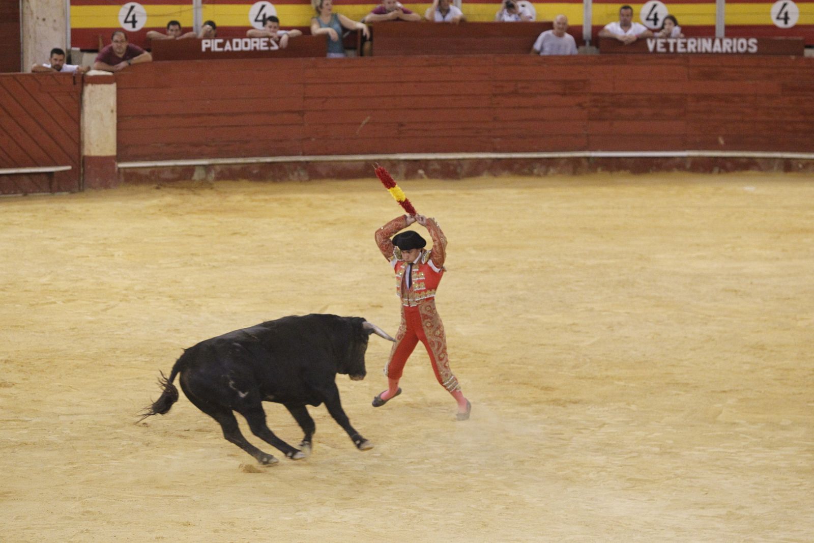 Fotogalería novillada Escuela Taurina de Almería. Feria de Almería 2019