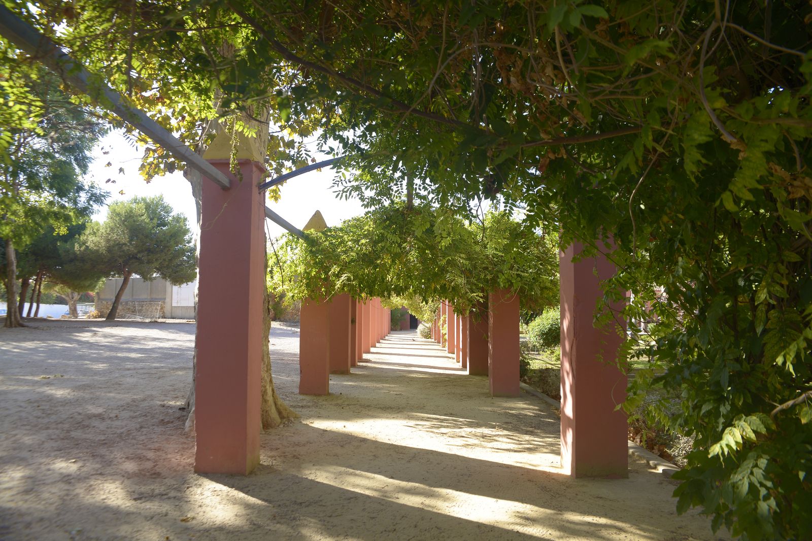 Fotos de los jardines Saccone en La Línea