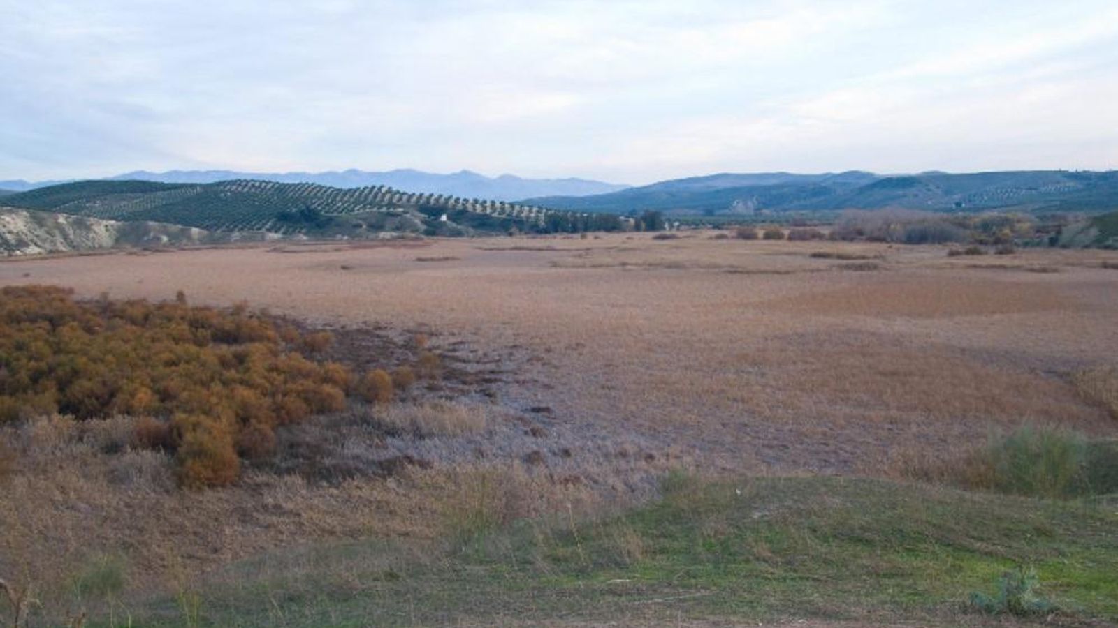 Laguna de La Herradura en 2020.